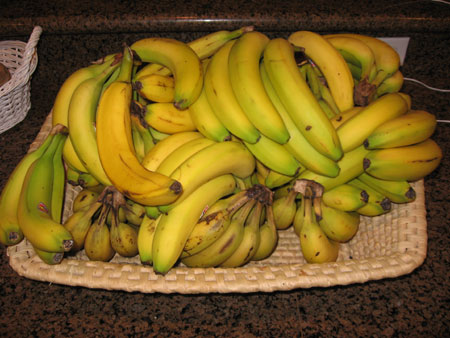 Raw food diet day 6 bananas